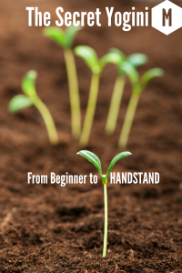 The Beginner's Blog-7