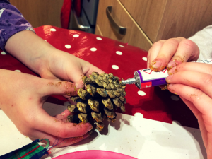 glue-pine-cones