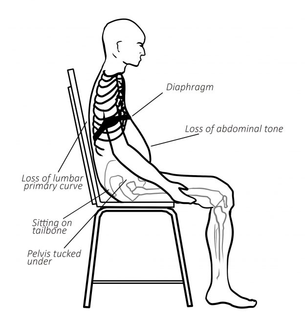 Digestive Health: How modern postural issues affect digestion ...