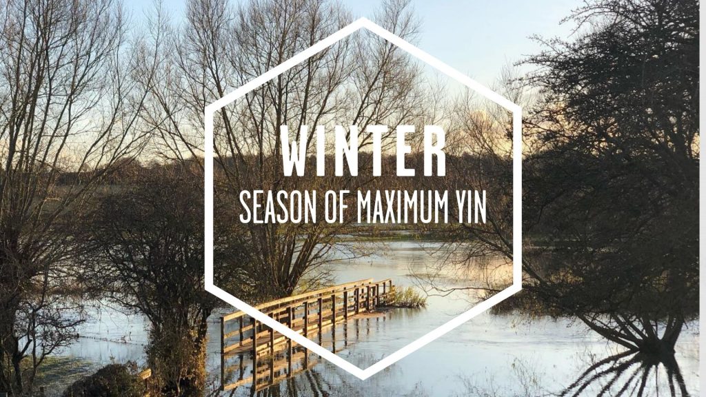 winter: the season of maximum yin