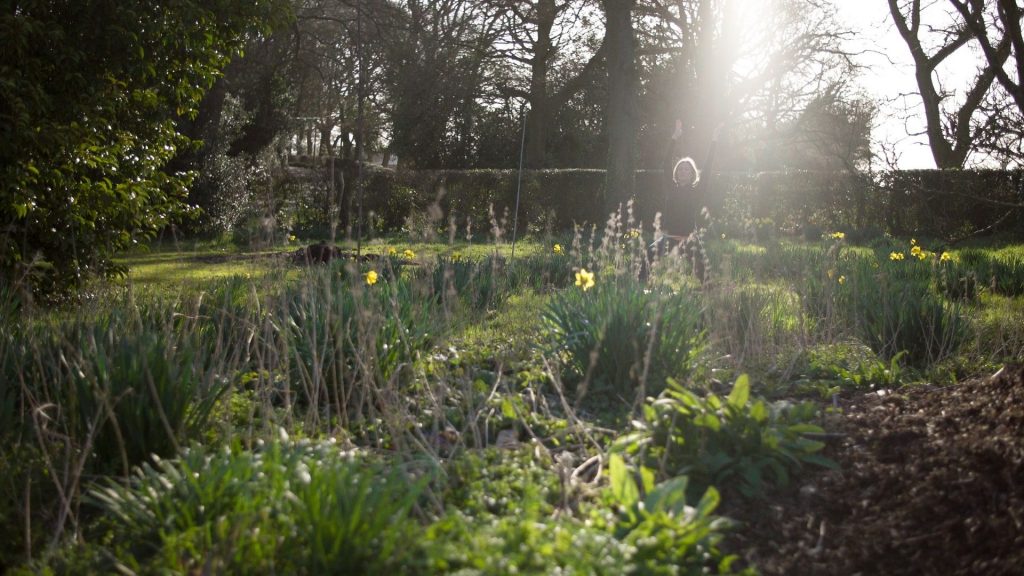 nature, yoga and mental health