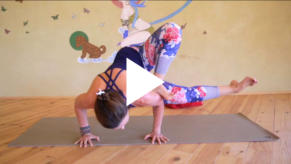 Dragons, dragonflies & butterflies – Kathy Páez Yoga