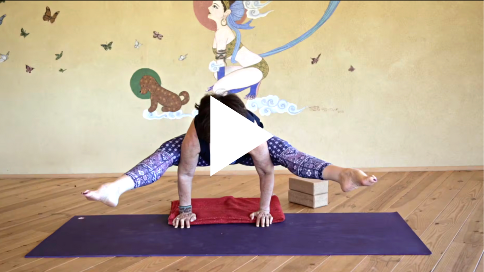 Yoga Arm Balances: How to Build Strength and Stability - Movement for  Modern Life Blog