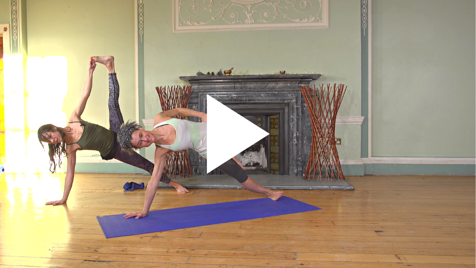 5 Arm Balance Yoga Poses for Beginners
