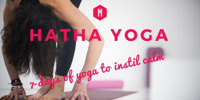 Hatha Yoga Course