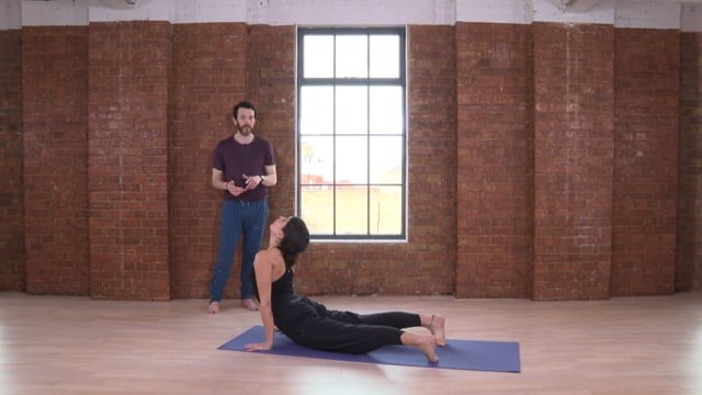 Vinyasa Transitions: Expanding your Options