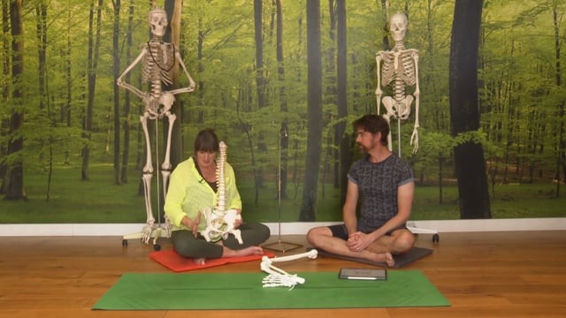 Hip Replacement: How Yoga can Help