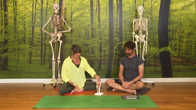 Knee Joint: How Yoga Can Help