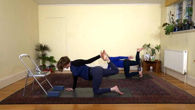 Hands on Adjustments (Part 2) — Margi Young Yoga