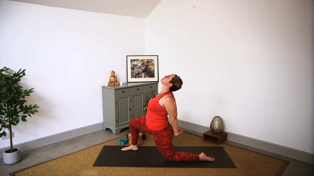 Yoga for Every Body: Shoulders and Neck