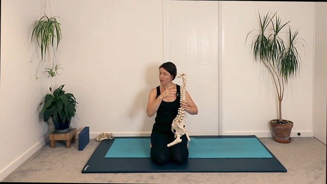 Yoga for Back Care: Introduction