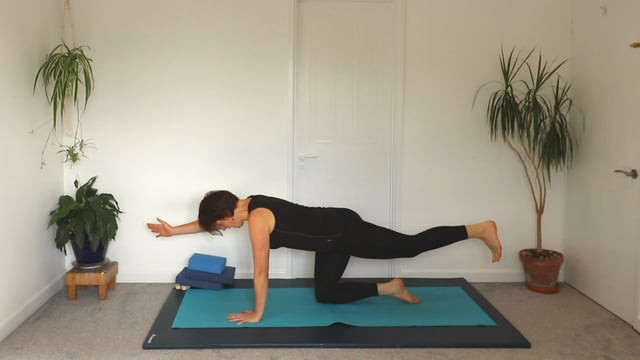 Yoga for Back Care: Deep Core Muscles