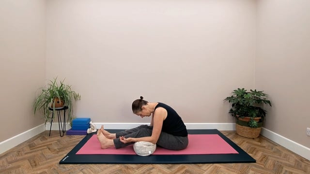 Therapeutic Exercises for Pelvic Floor  (Session 4)