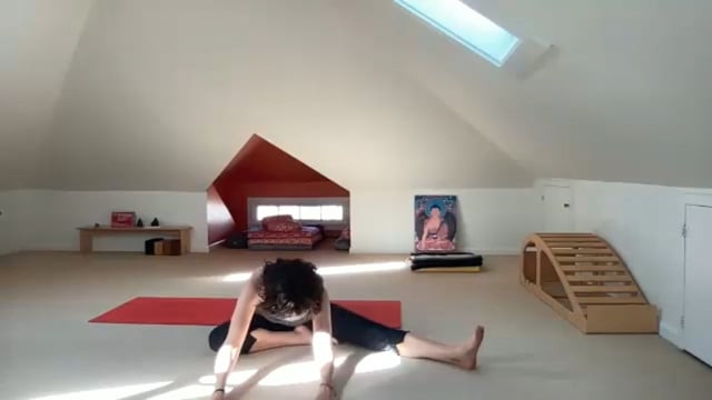 Side Bends & Twists for Space in the Heart & Lungs