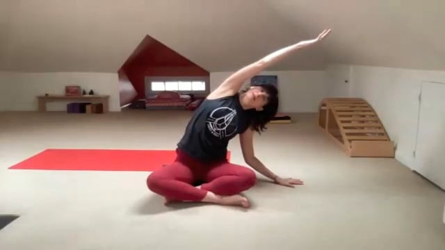 Fluid Flow for Spinal Mobility 