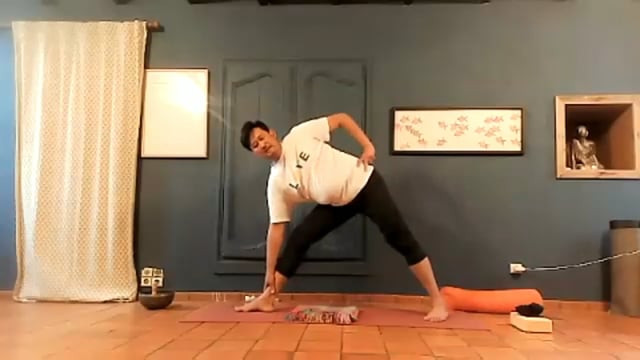 Qigong Yoga Fusion: Move Into Joy 