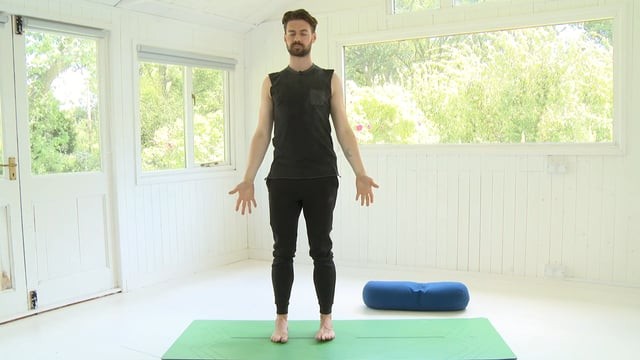 Gentle Yoga to Reset